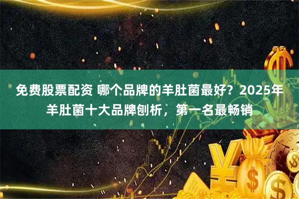 免费股票配资 哪个品牌的羊肚菌最好？2025年羊肚菌十大品牌刨析，第一名最畅销