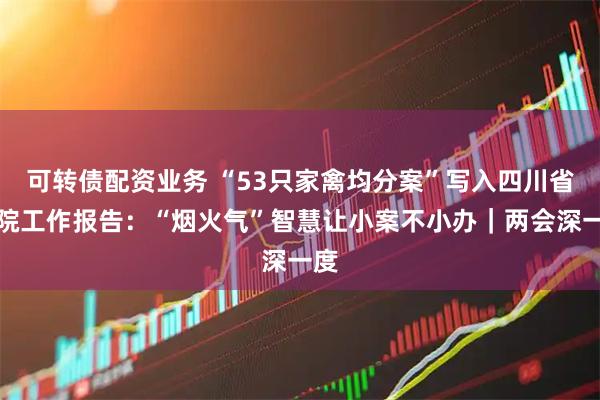 可转债配资业务 “53只家禽均分案”写入四川省高院工作报告：“烟火气”智慧让小案不小办｜两会深一度