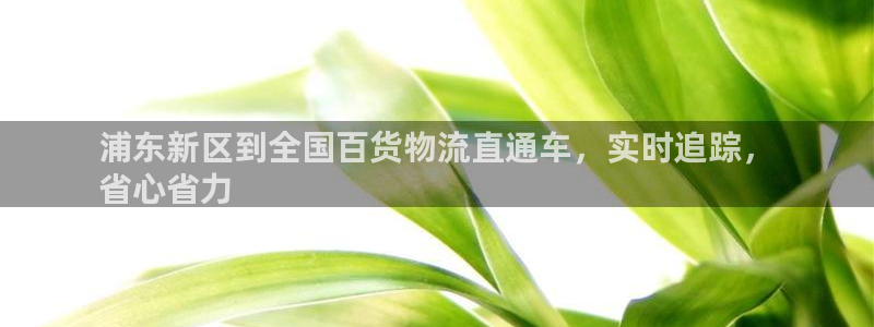 电子游戏888集团网站